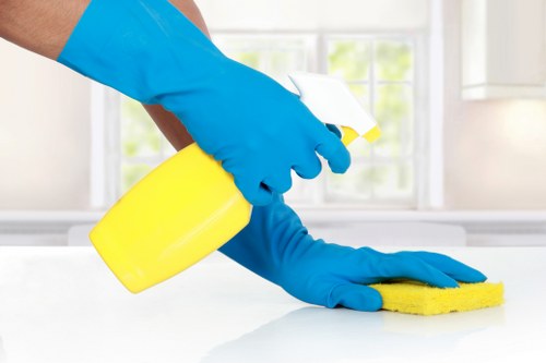 Professional cleaning company in Nottinghill servicing a modern home