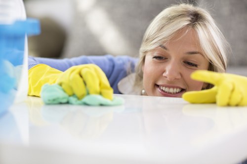 Clean carpet care for a stylish Nottinghill interior