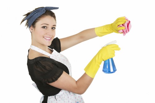 Deep cleaning a Nottinghill apartment interior