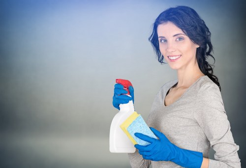 Stain removal and carpet refresh service in Nottinghill
