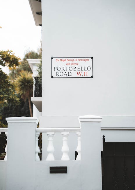 Mould and damp fixes for Notting Hill basements and cellars image
